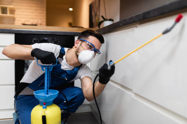 Best Pest Control Near Me in Bluewell, WV