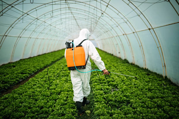 Best Local Pest Control Services  in Bluewell, WV