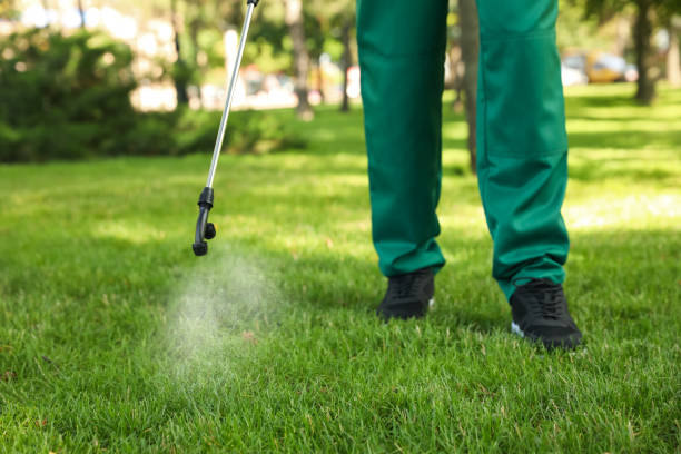 Best Pest Removal Services  in Bluewell, WV