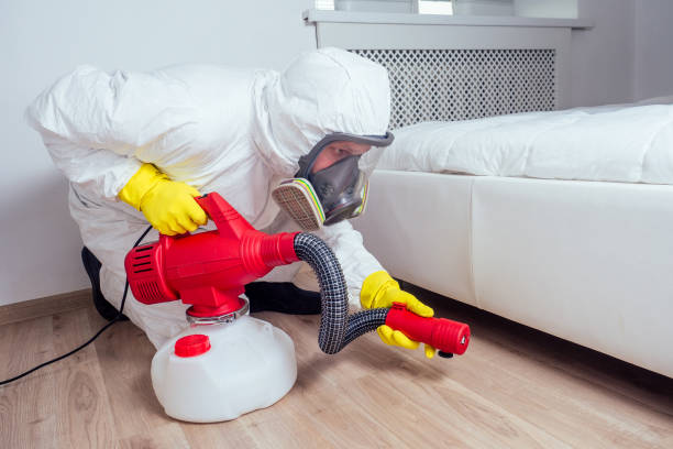 Best Insect Control  in Bluewell, WV