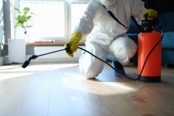 Best Pest Prevention Services  in Bluewell, WV