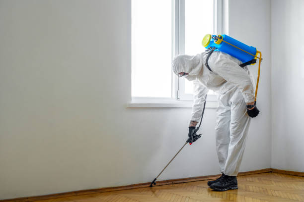 Trusted Bluewell, WV Pest Control Experts