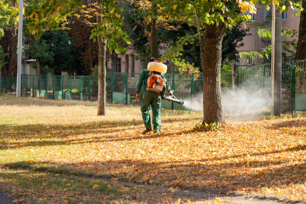 Best Ant Control Services  in Bluewell, WV