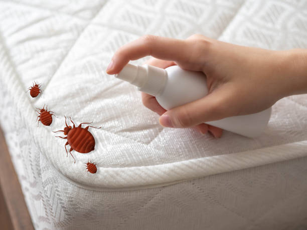 Best Pest Inspection Near Me  in Bluewell, WV