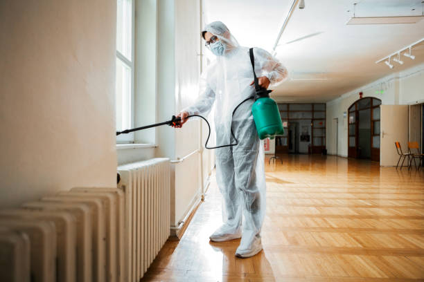 Best Wasp Removal Services  in Bluewell, WV