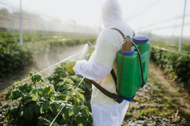 Best Commercial Pest Control Services  in Bluewell, WV